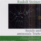 Rudolf Steiner, Michael Mentzel, Taja Gut - Soziale und antisoziale Triebe, 1 Audio-CD (Hörbuch)