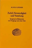 Rudolf Steiner, Rudolf Steiner Nachlassverwaltung - Zufall, Notwendigkeit und Vorsehung