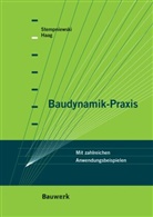 Björ Haag, Björn Haag, Lothar Stempniewski - Baudynamik-Praxis