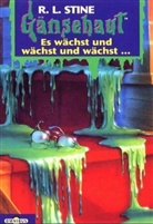 Robert L. Stine - Gänsehaut. Tl.4