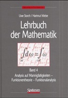 Uwe Storch, Hartmut Wiebe - Lehrbuch der Mathematik - Bd.4: Analysis auf Mannigfaltigkeiten, Funktionentheorie, Funktionalanalysis