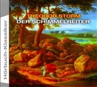Theodor Storm, Karlheinz Gabor - Der Schimmelreiter, 4 Audio-CDs (Hörbuch)