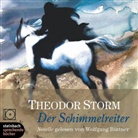 Theodor Storm, Wolfgang Büttner - Der Schimmelreiter, 4 Audio-CDs (Livre audio)