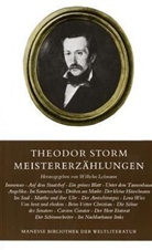 Theodor Storm - Meistererzählungen