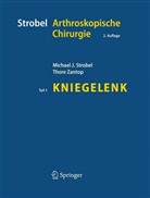 Michael Strobel - Arthroskopische Chirurgie