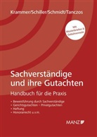 Harald Krammer, Jürgen Schiller, Alexander Schmidt - Sachverständige und ihre Gutachten (f. Österreich)