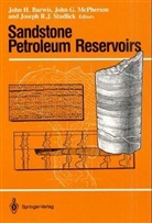 Sandstone Petroleum Reservoirs