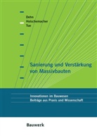 Frank Dehn, Klaus Holschemacher, Nguyen Viet Tue - Sanierung und Verstärkung von Massivbauten