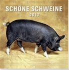 Schöne Schweine, Broschürenkalender 2012
