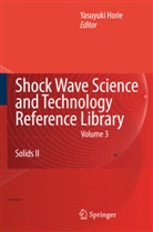 Yasuyuk Horie, Yasuyuki Horie - Shock Wave Science and Technology Reference Library, Vol. 3