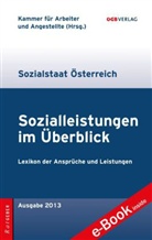 Sozialleistungen im Überblick, Sozialstaat Österreich, Ausgabe 2010