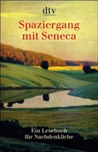 Brigitte Hellmann - Spaziergang mit Seneca