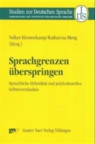Volker Hinnenkamp, Volker  Meng Hinnenkamp, Katharina Meng - Sprachgrenzen überspringen