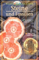Steine und Fossilien