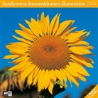 Sunflowers, Broschürenkalender 2009. Sonnenblumen. Slunecnice
