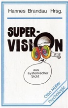 Supervision aus systemischer Sicht