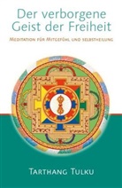 Tulku Tarthang, Tarthang Tulku Rinpoche, Tarthang Tulku - Der verborgene Geist der Freiheit