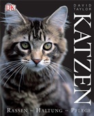 David Taylor - Katzen