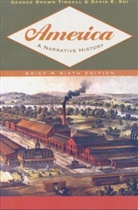 David Emory Shi, George B. Shi, George Brown Tindall - America - a Narrative History