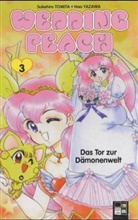 Sukehiro Tomita, Sukehiro. Tomita, Nao Yazawa, Nao Yazawa - Wedding Peach - Bd.3: Das Tor zur Dämonenwelt