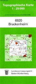 Topographische Karten Baden-Württemberg: Topographische Karte Baden-Württemberg Brackenheim