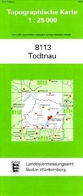 Topographische Karten Baden-Württemberg: Topographische Karte Baden-Württemberg Todtnau