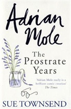 Sue Townsend - Adrian Mole: The Prostrate Years