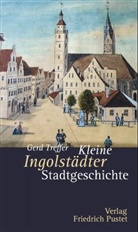 Gerd Treffer - Kleine Ingolstädter Stadtgeschichte