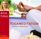 Anna Trökes - Yogameditation, 1 Audio-CD (Audio book)