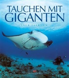 Tauchen mit Giganten