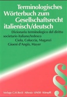 Terminologisches Wörterbuch zum Gesellschaftsrecht, Italienisch-Deutsch. Dizionario terminologico del diritto societario, italiano-tedesco