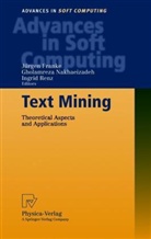 J. Franke, Gholamreza Nakhaeizadeh, I. Renz - Text Mining