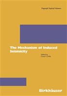 Ceza I Trifu, Cezar I Trifu, Cezar I. Trifu - The Mechanism of Induced Seismicity