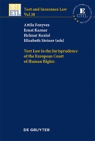 Attila Fenyves, Erns Karner, Ernst Karner, Helmut Koziol, Helmut Koziol et al, Elisabeth Steiner - Tort Law in the Jurisprudence of the European Court of Human Rights