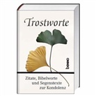 Volker Bauch - Trostworte