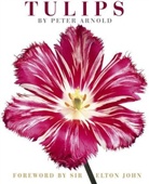 Peter Arnold, Peter Arnold - Tulips