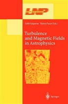 Edit Falgarone, Edith Falgarone, Passot, Passot, Thierry Passot - Turbulence and Magnetic Fields in Astrophysics