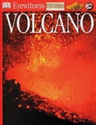 Susanna Van Rose - Volcano