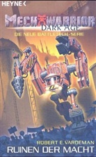 Robert E. Vardeman - Ruinen der Macht