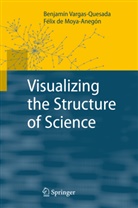 Félix de Moya-Anegón, Félix Moya-Anegón, Félix de Moya-Anegón, Benjamí Vargas-Quesada, Benjamín Vargas-Quesada - Visualizing the Structure of Science