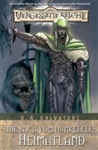 Robert A. Salvatore, Tim Seeley - Vergessene Reiche, Die Saga vom Dunkelelf - 1: Heimatland
