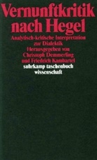 Christoph Demmerling, Friedrich Kambartel - Vernunftkritik nach Hegel