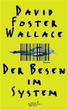 David Foster Wallace, David Foster Wallace - Der Besen im System