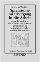 Andreas Walther - Spielräume im Übergang in die Arbeit