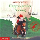Andrea Wandel, Carla Swiderski - Ein Pony für alle Fälle, Audio-CDs - Folge.4: Happys großer Sprung, Audio-CD (Audio book)