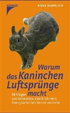 Anne Warrlich - Warum das Kaninchen Luftsprünge macht