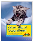 Jana Weichelt - Katzen digital fotografieren