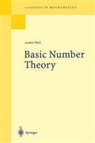 Andre Weil - Basic Number Theory