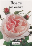 Josh Westrich - Roses