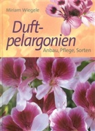 Miriam Wiegele - Duftpelargonien